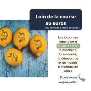 Loin de la course aux euros (au contraire de leurs cousines) Les Licoornes répondent à 4 piliers forts : la durabilité, la solidarité, la démocratie et un modèle à profitabilité limitée.