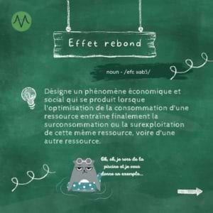 Effet rebond Désigne un phénomène économique et social qui se produit lorsque l'optimisation de la consommation d'une ressource entraîne finalement la surconsommation ou la surexploitation de cette même ressource, voire d'une autre ressource.