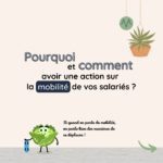 Pourquoi et comment avoir une action sur la mobilité de vos salariés ?