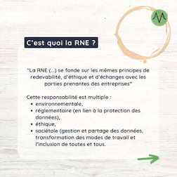 C'est quoi la RNE ?
"La RNE (...) se fonde sur les mêmes principes de redevabilité, d’éthique et d’échanges avec les parties prenantes des entreprises”

Cette responsabilité est multiple :
environnementale, réglementaire (en lien à la protection des données), éthique, sociétale (gestion et partage des données, transformation des modes de travail et l’inclusion de toutes et tous.