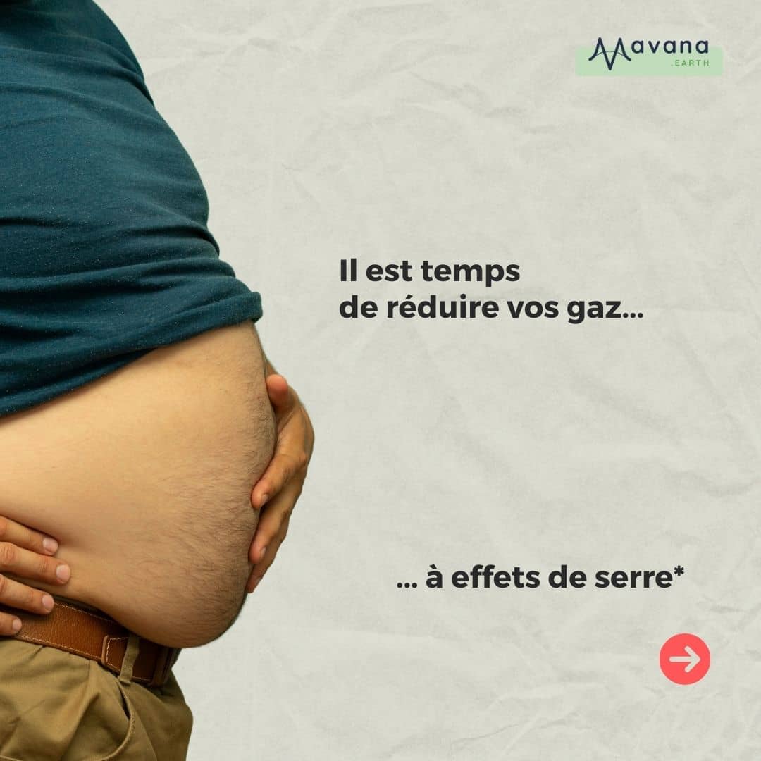 Entreprises du numérique en Occitanie, il est temps de réduire vos gaz... à effet de serre !