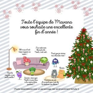 Joyeuse fin d'année 2025 - Mavana