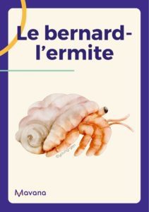 Face à l'IA générative, quel animal êtes-vous ?