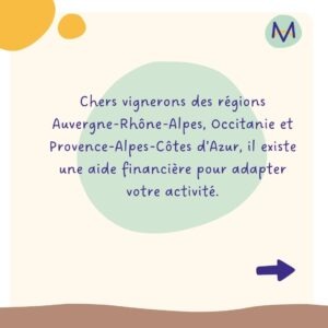 Chers vignerons des régions Auvergne-Rhône-Alpes, Occitanie et Provence-Alpes-Côtes d’Azur, il existe une aide financière pour adapter votre activité.