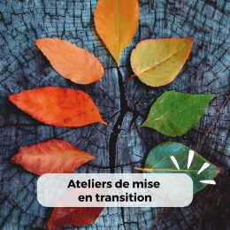 Ateliers de mise en transition_Mavana Ateliers de mise en transition_Mavana